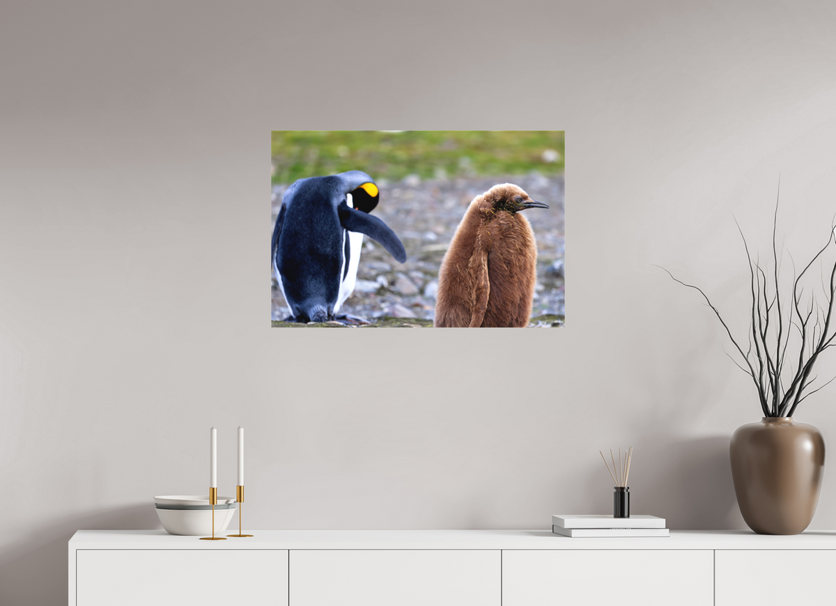 30 x 20″, Canvas Print A19
