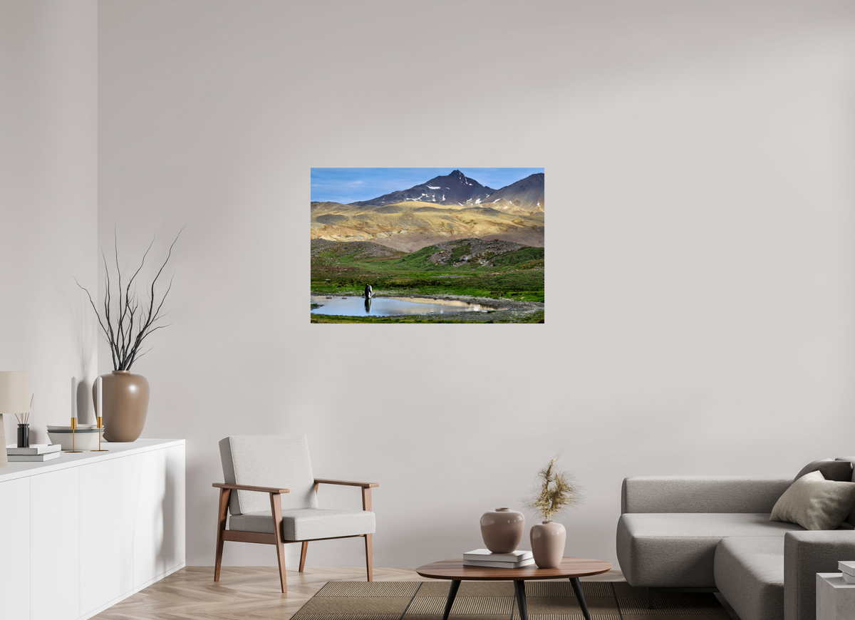 45 x 30″, Glossy Print (Unframed) A21