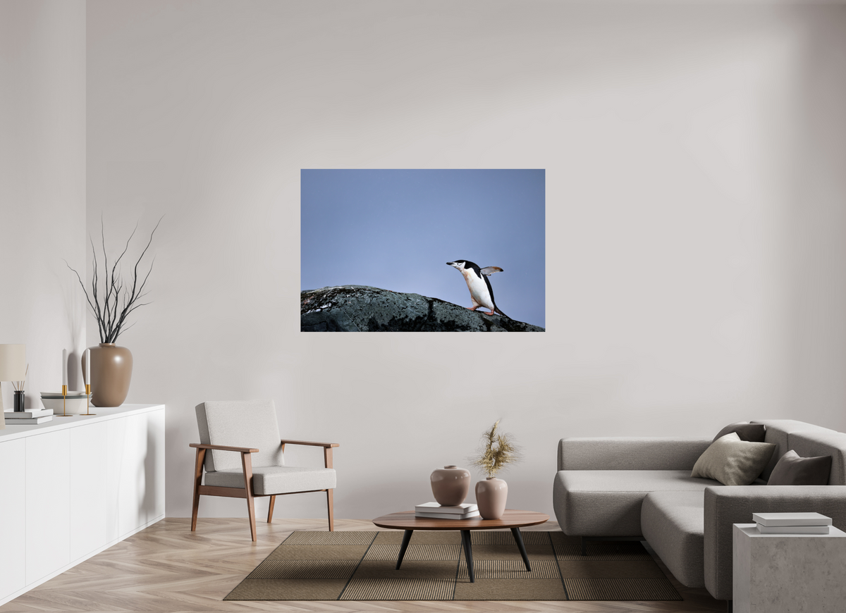 60 x 40″, Glossy Print (Unframed) A7