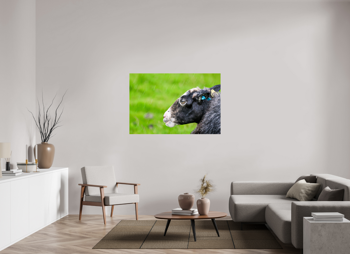 54 x 36″, Glossy Print (Unframed) Norway14