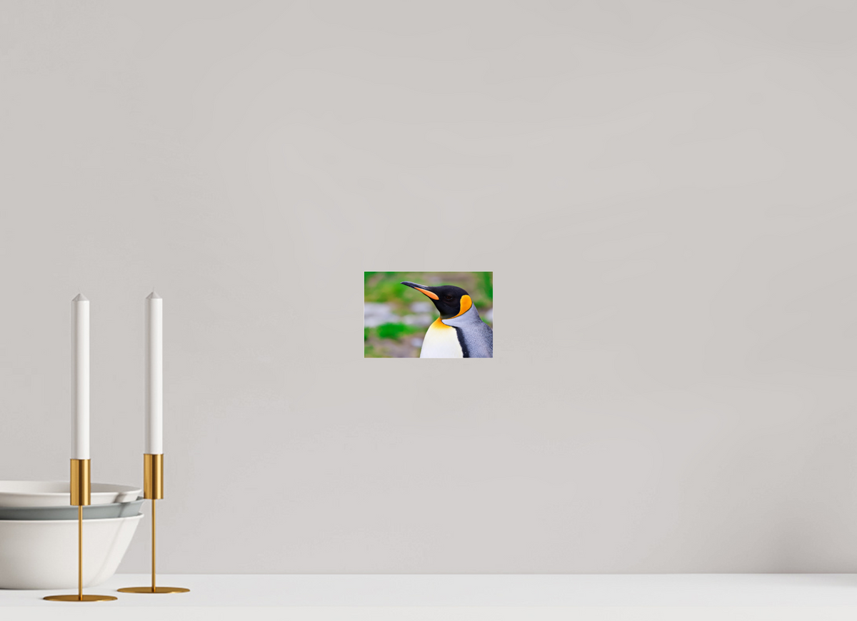 6 x 4″, Acrylic under Glass (Unframed) A12