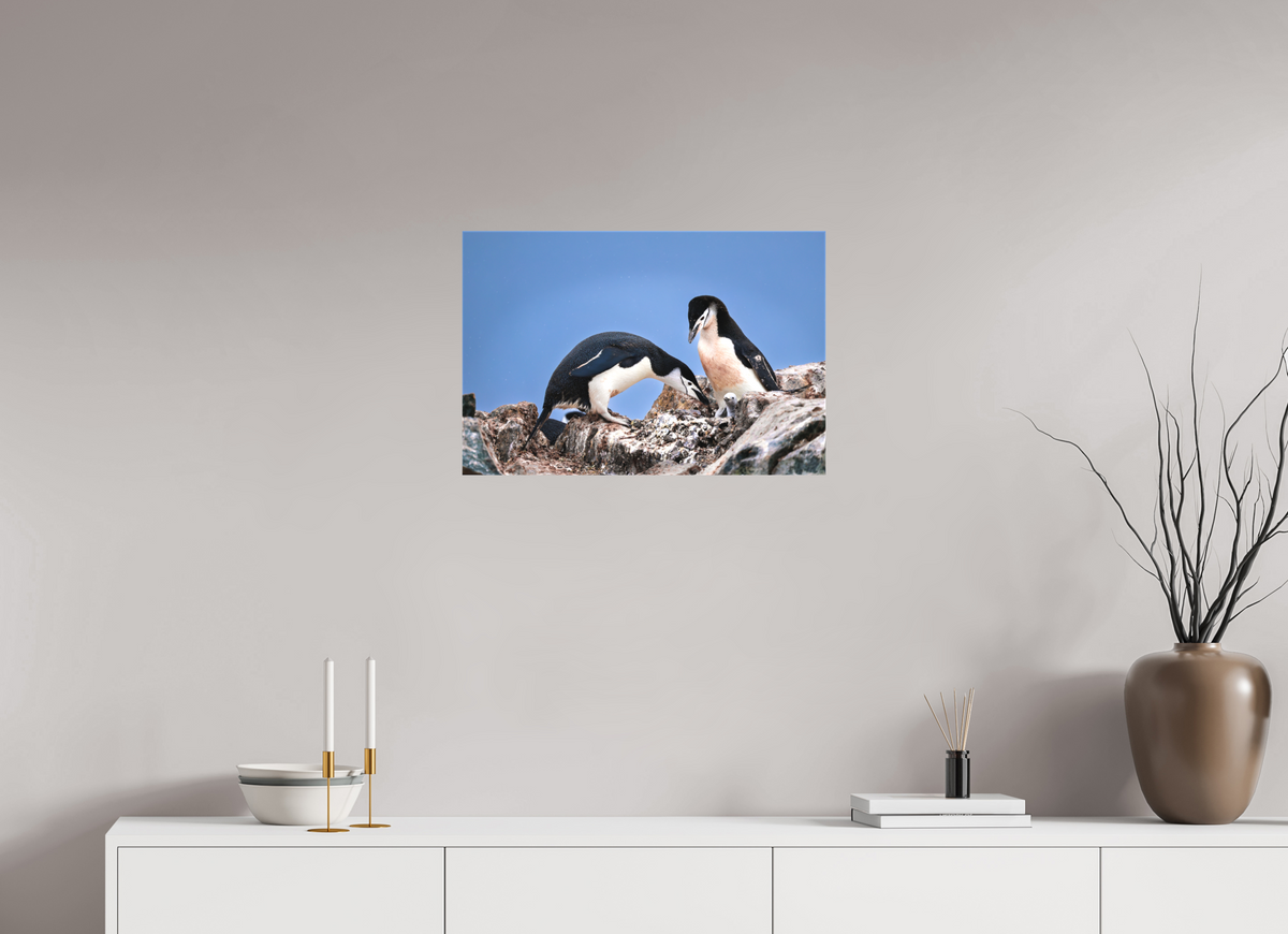 24 x 16″, Canvas Print A6