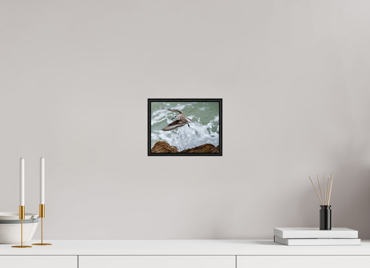 8 x 6″, Acrylic under Glass (Framed) A Sanderling and the Ocean