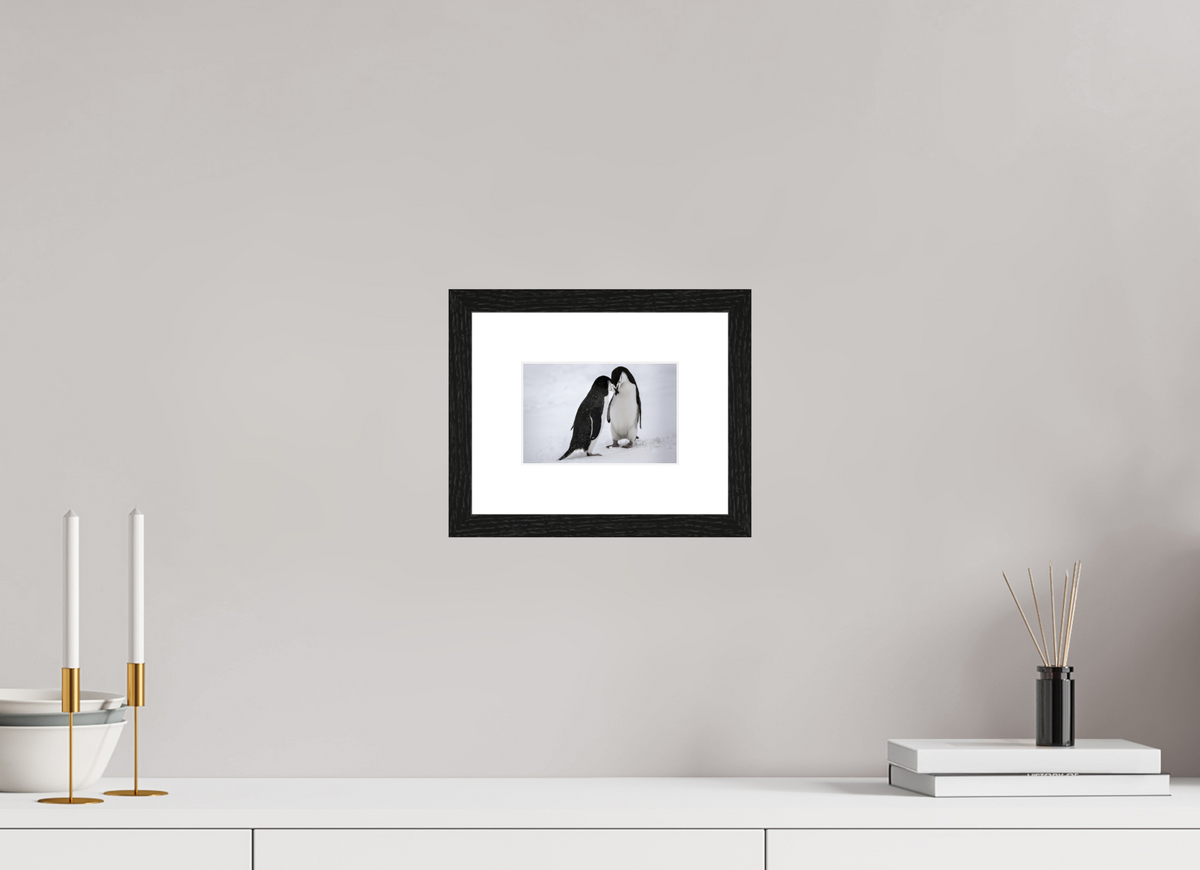 6 x 4″, Glossy Print (Framed) A5