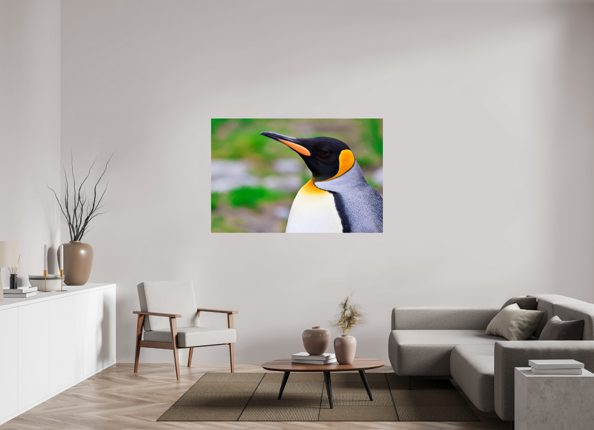 60 x 40″, Glossy Print (Unframed) A12