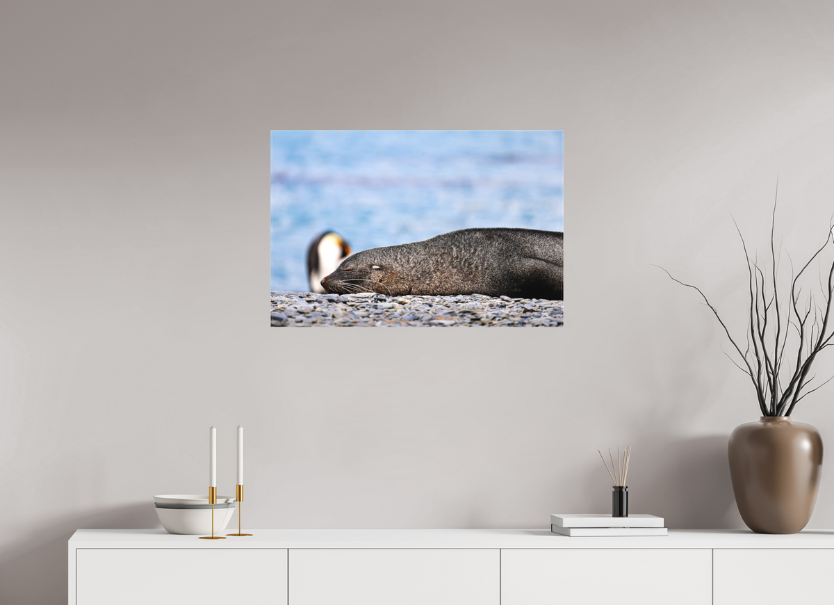 30 x 20″, Canvas Print A17