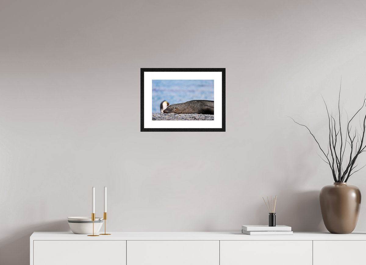 15 x 10″, Glossy Print (Framed) A17