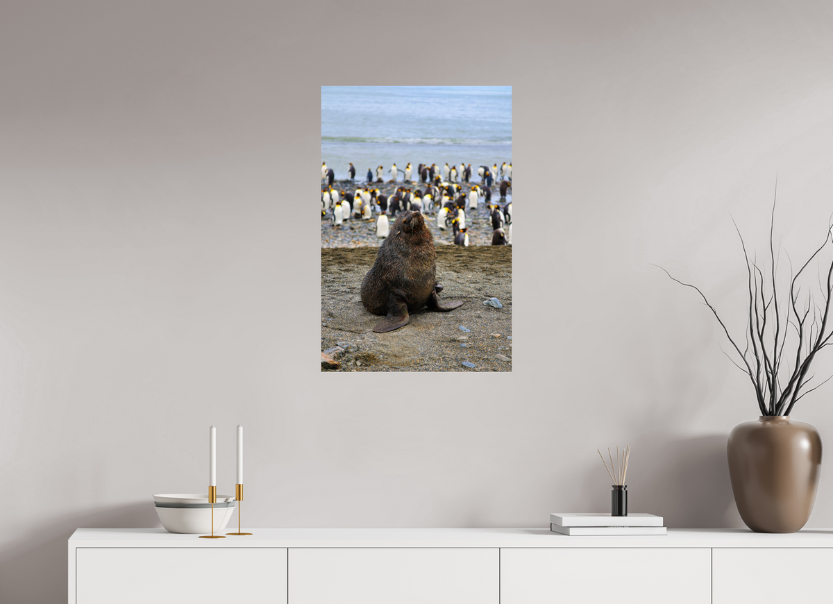 20 x 30″, Glossy Print (Unframed) A11