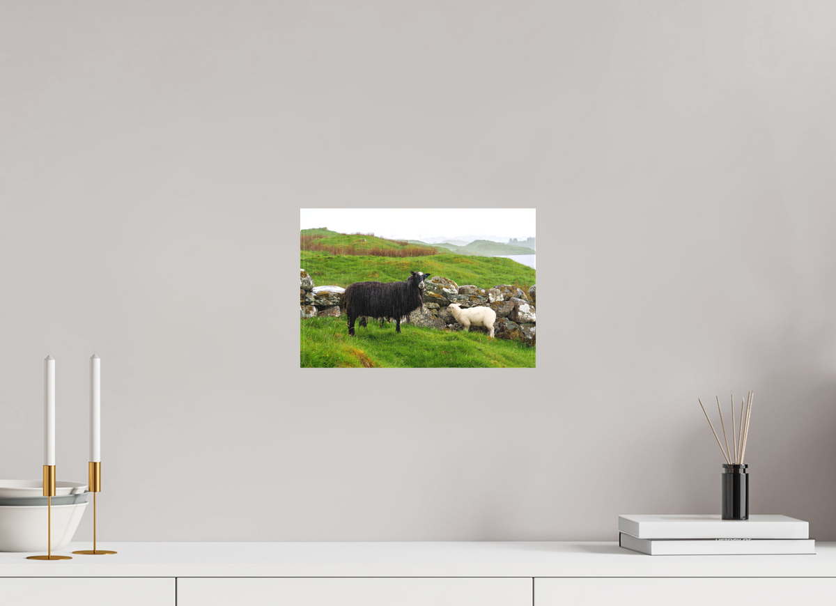 12 x 8″, Canvas Print Norway16