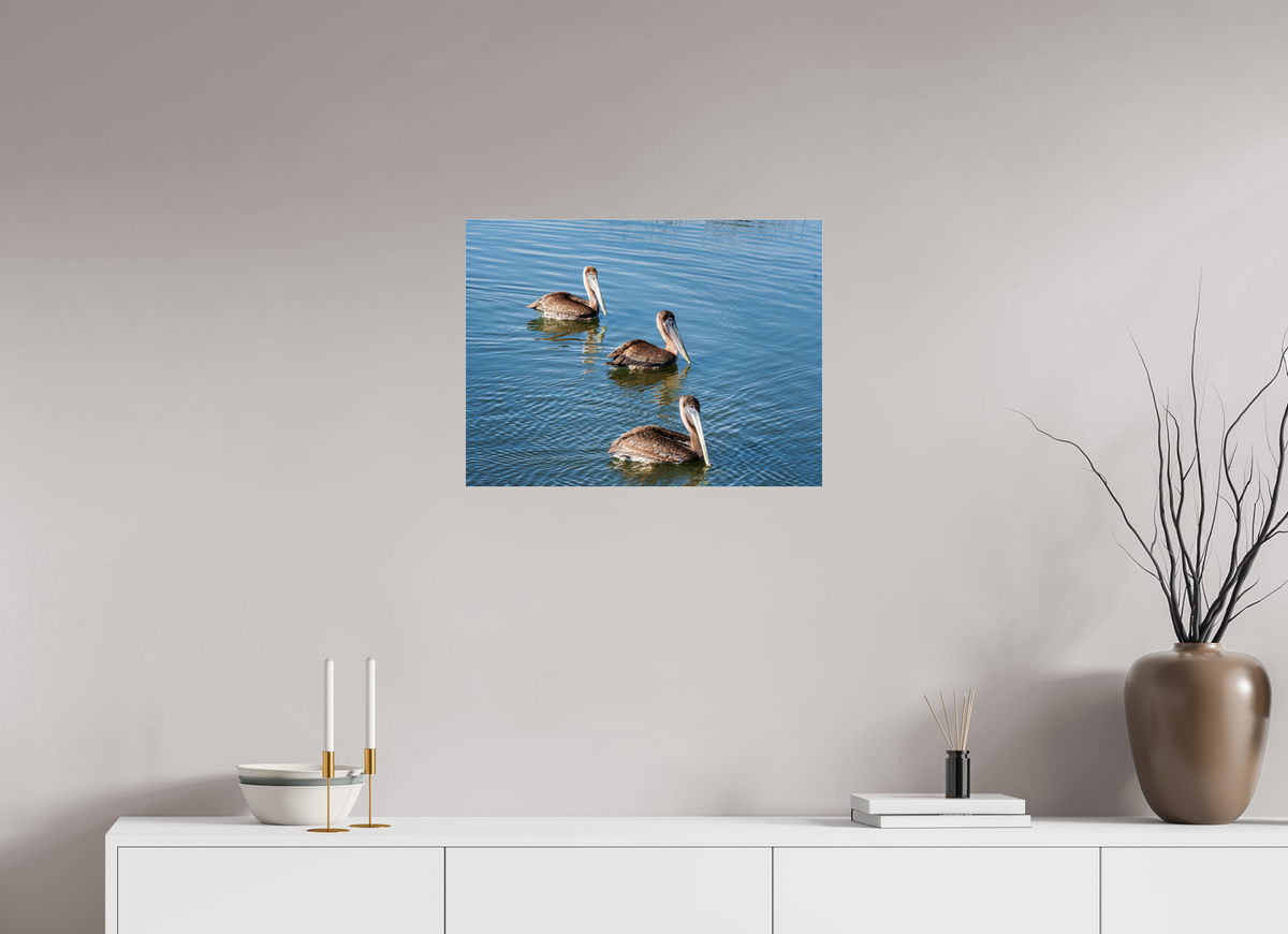 24 x 18″, Acrylic under Glass (Unframed) Triple Brown Pelican