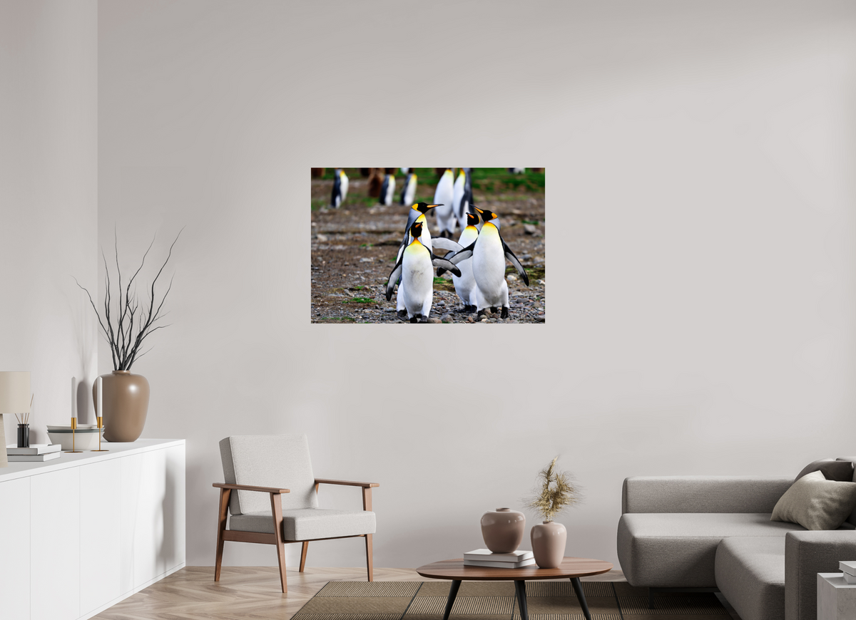 45 x 30″, Glossy Print (Unframed) A20