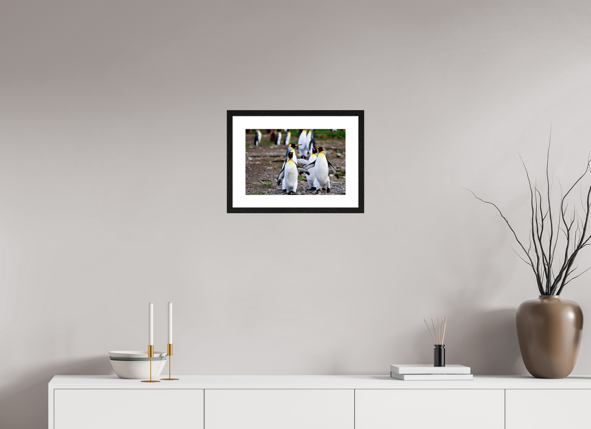 15 x 10″, Glossy Print (Framed) A20