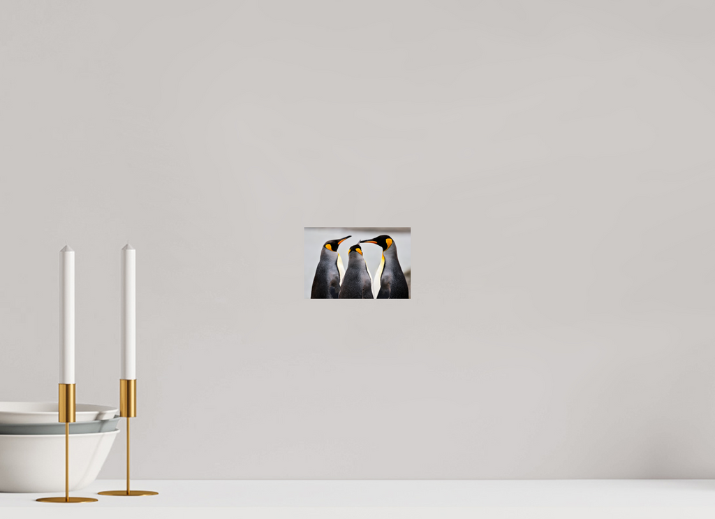 6 x 4″, Glossy Print (Unframed) A12