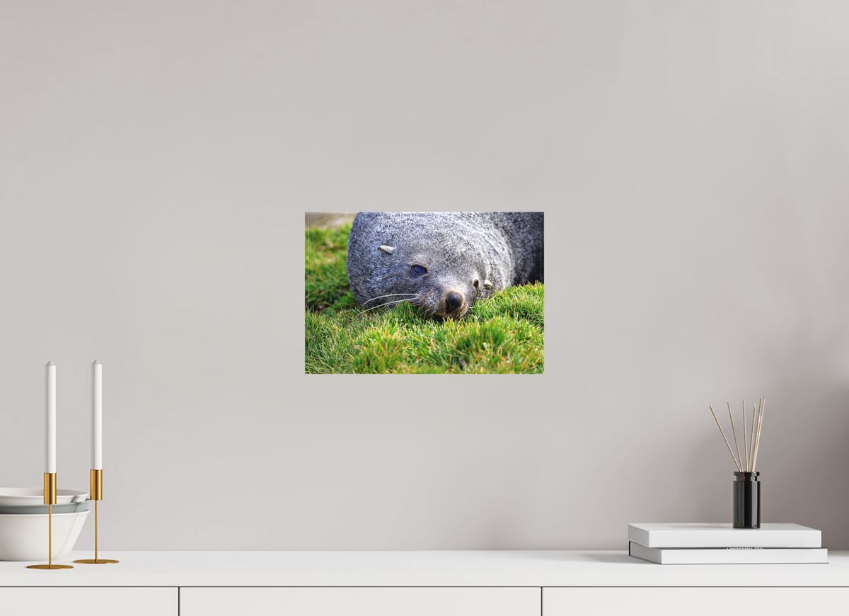 12 x 8″, Canvas Print A22