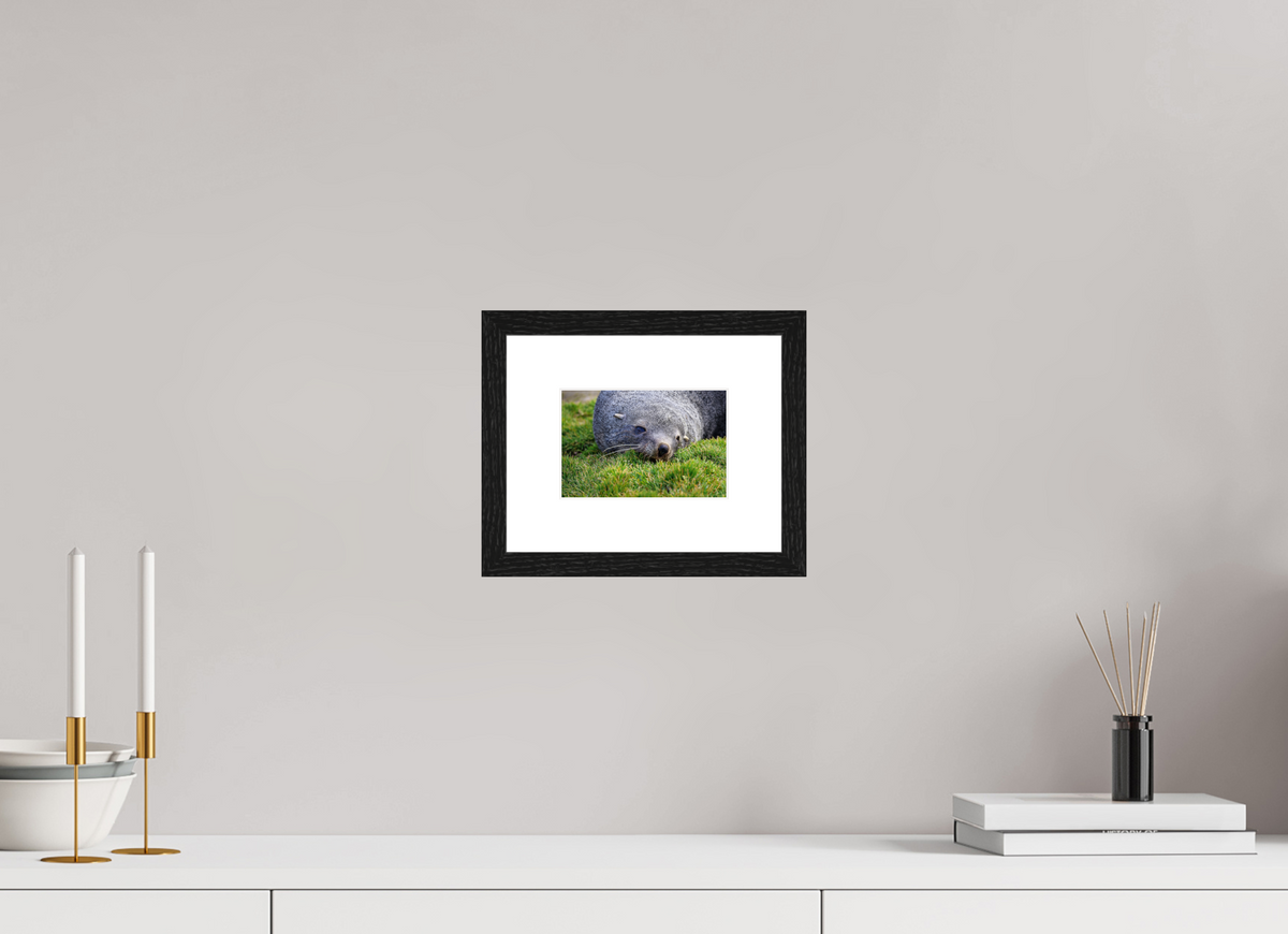 6 x 4″, Glossy Print (Framed) A22