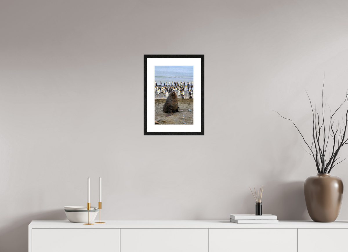 10 x 15″, Glossy Print (Framed) A11