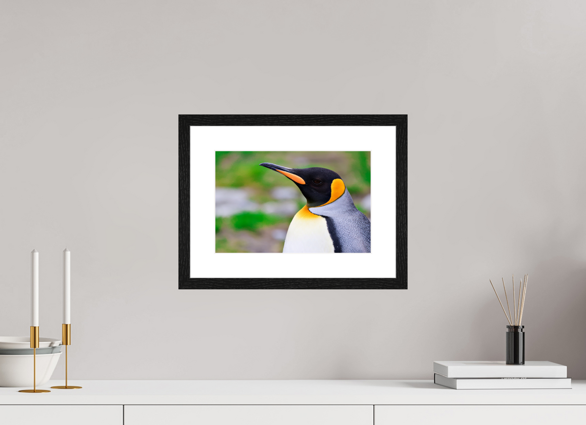 12 x 8″, Glossy Print (Framed) A12