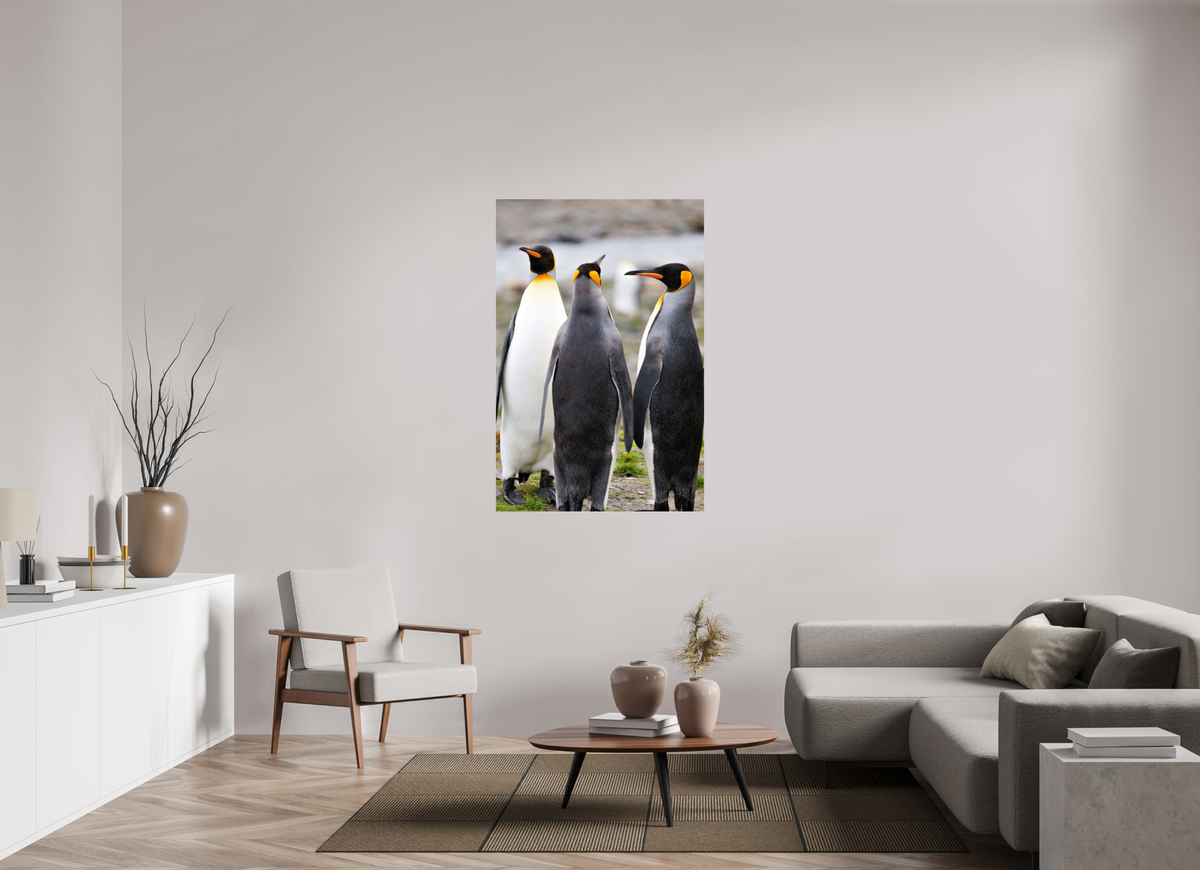 36 x 54″, Glossy Print (Unframed) A13