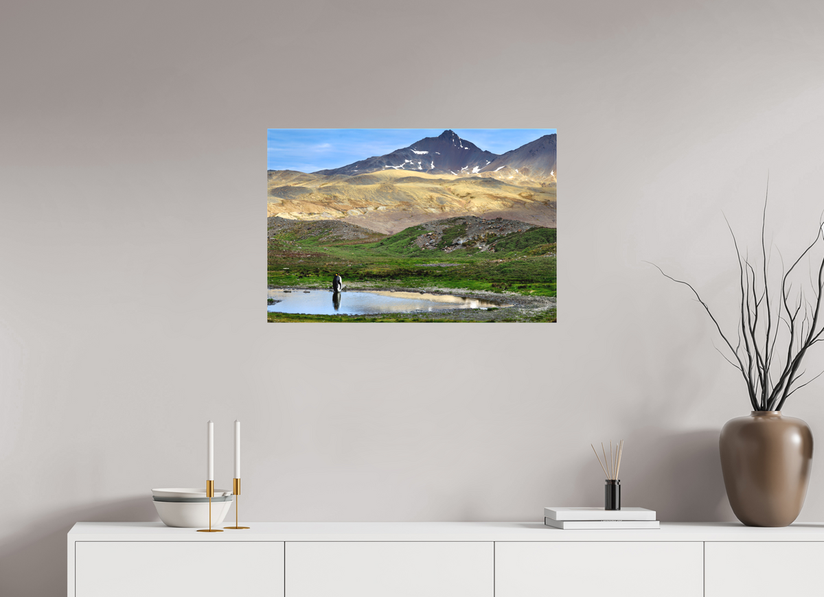 30 x 20″, Canvas Print A21