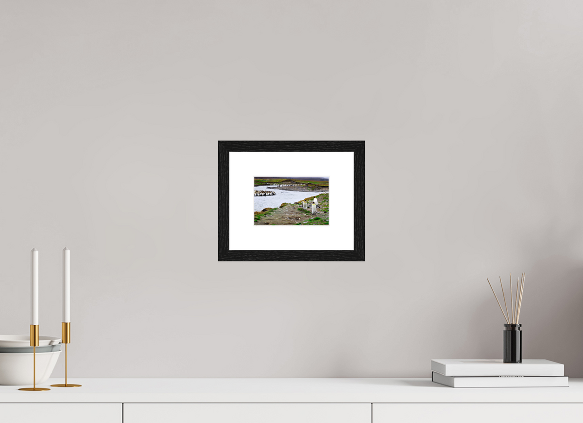 6 x 4″, Glossy Print (Framed) A14
