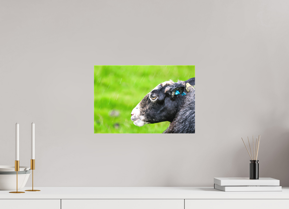 15 x 10″, Canvas Print Norway14