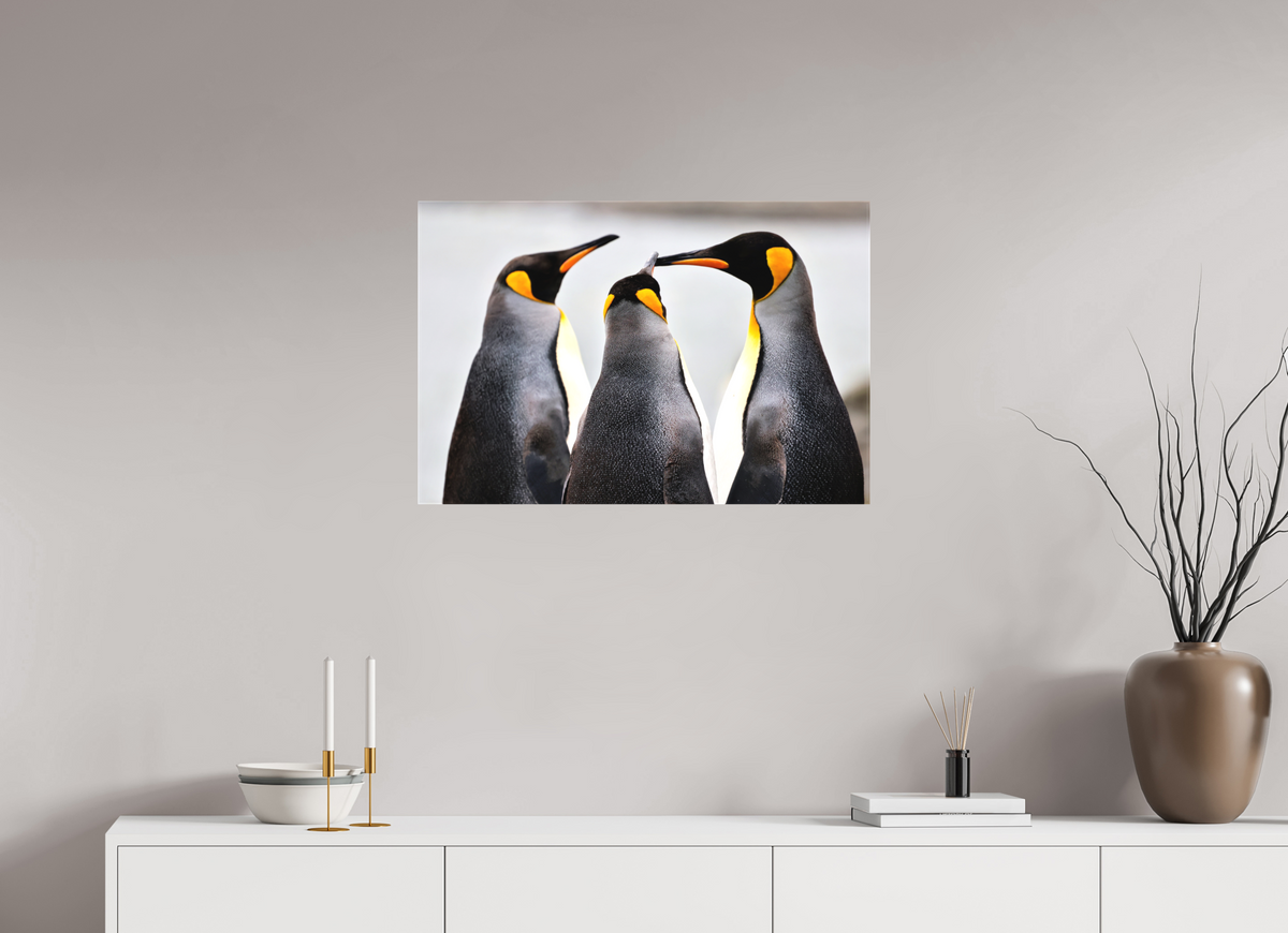 30 x 20″, Canvas Print A12