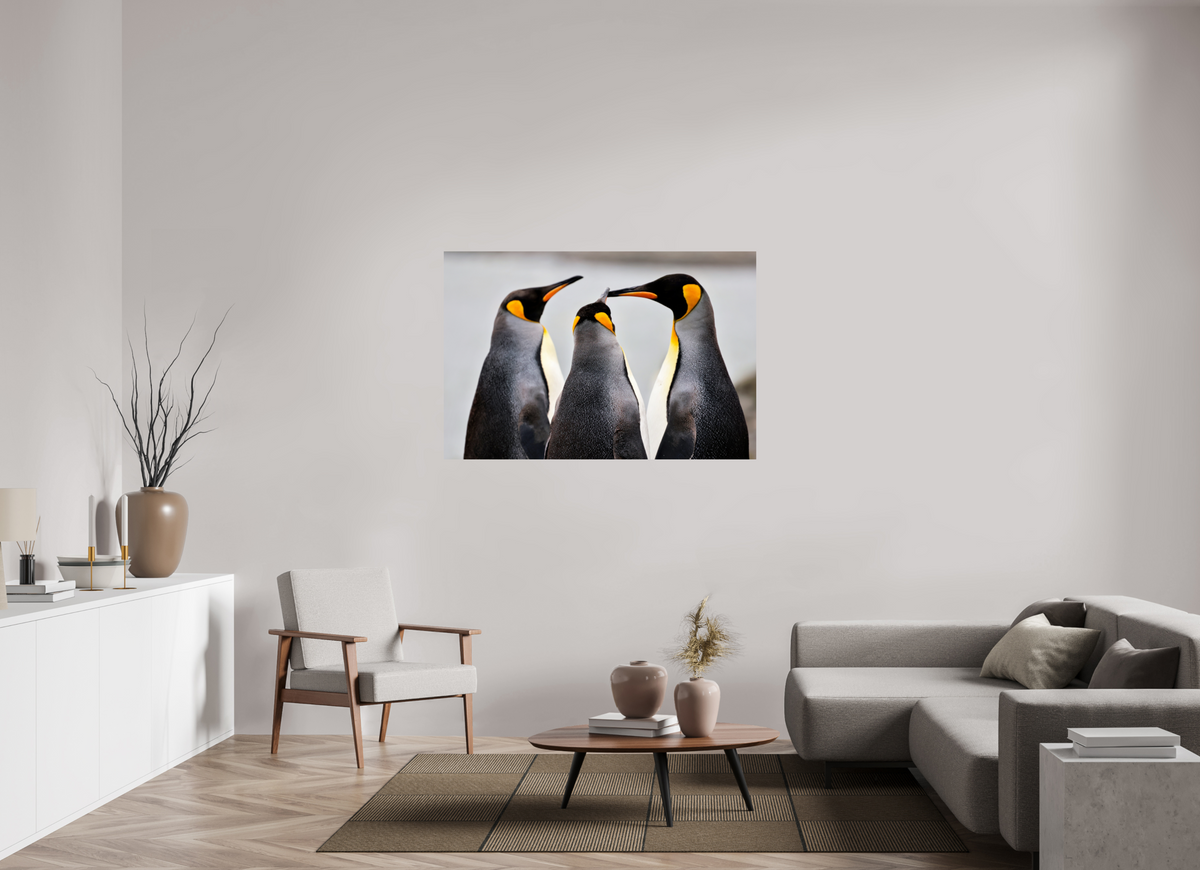 54 x 36″, Glossy Print (Unframed) A12