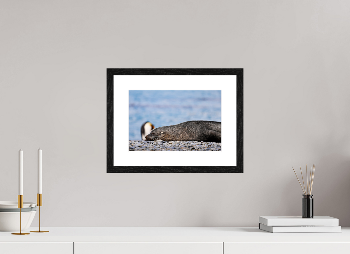 12 x 8″, Glossy Print (Framed) A17