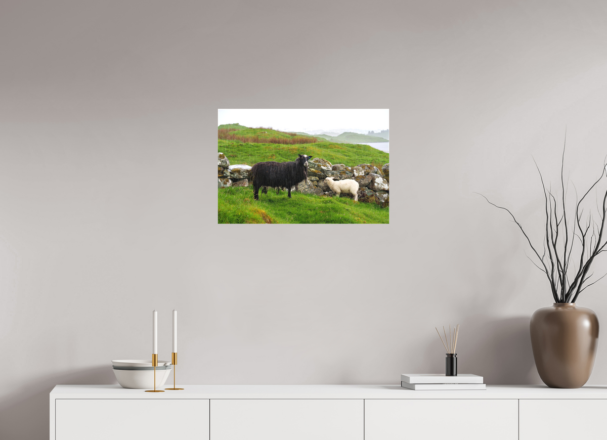 24 x 16″, Canvas Print Norway16