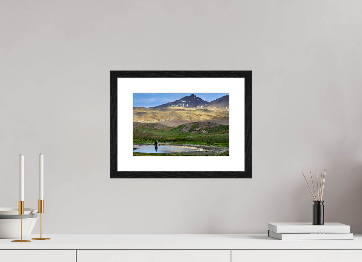 12 x 8″, Glossy Print (Framed) A21