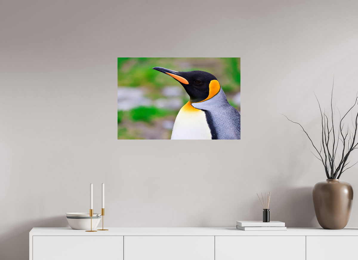 30 x 20″, Glossy Print (Unframed) A12