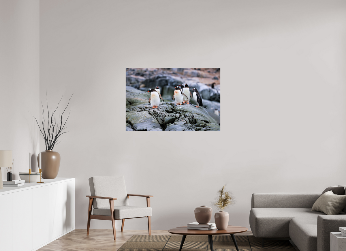 45 x 30″, Glossy Print (Unframed) A1