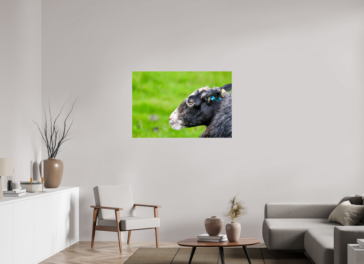 45 x 30″, Glossy Print (Unframed) Norway14