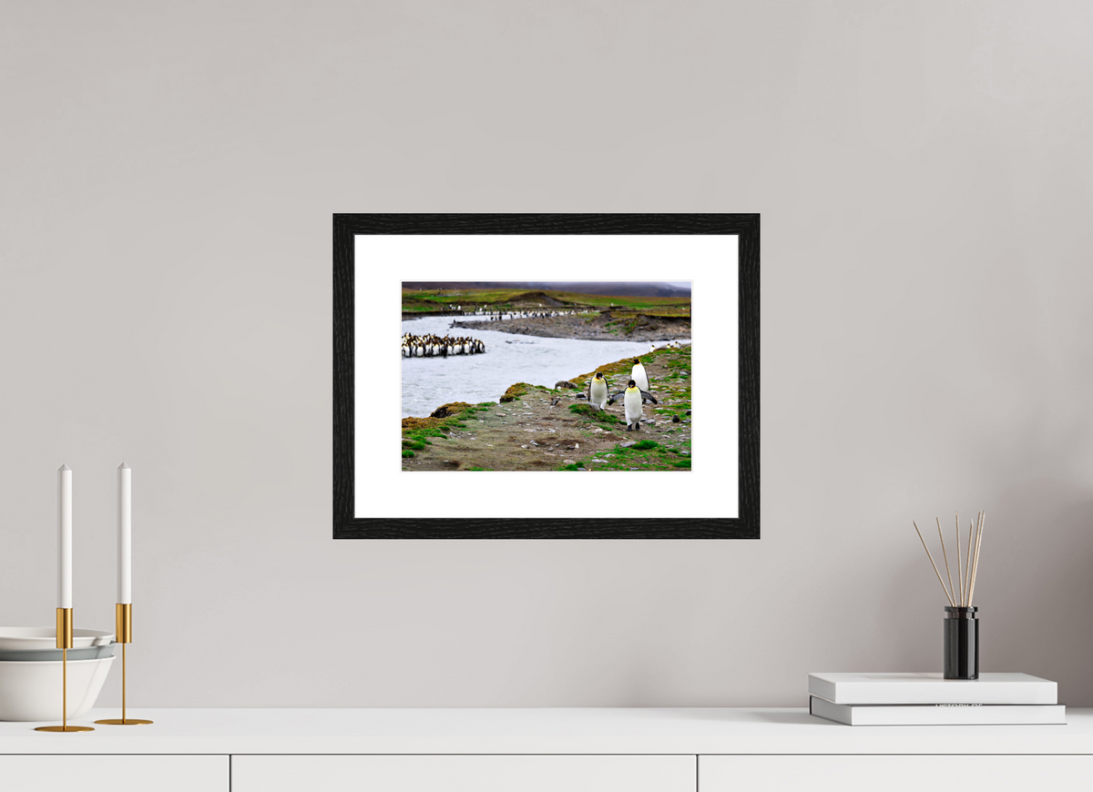 12 x 8″, Glossy Print (Framed) A14