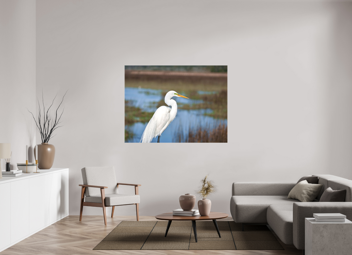 60 x 45″, Canvas Print A Great Egret