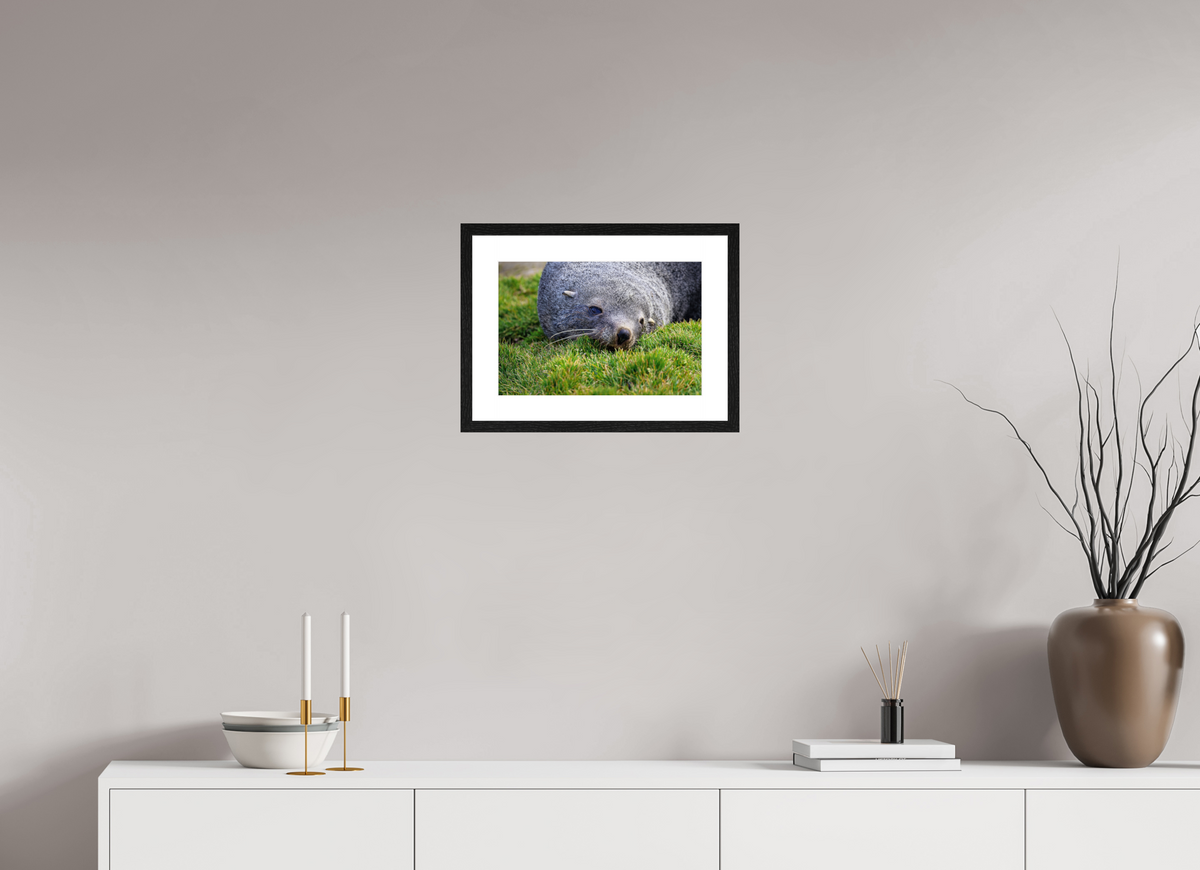 15 x 10″, Glossy Print (Framed) A22