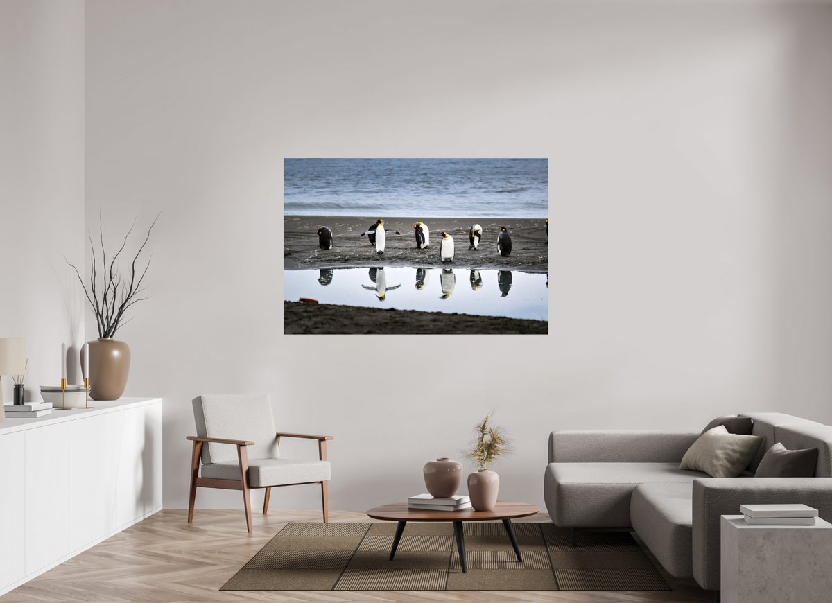 66 x 44″, Glossy Print (Unframed) A10