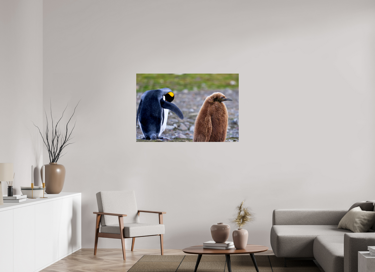 45 x 30″, Glossy Print (Unframed) A19