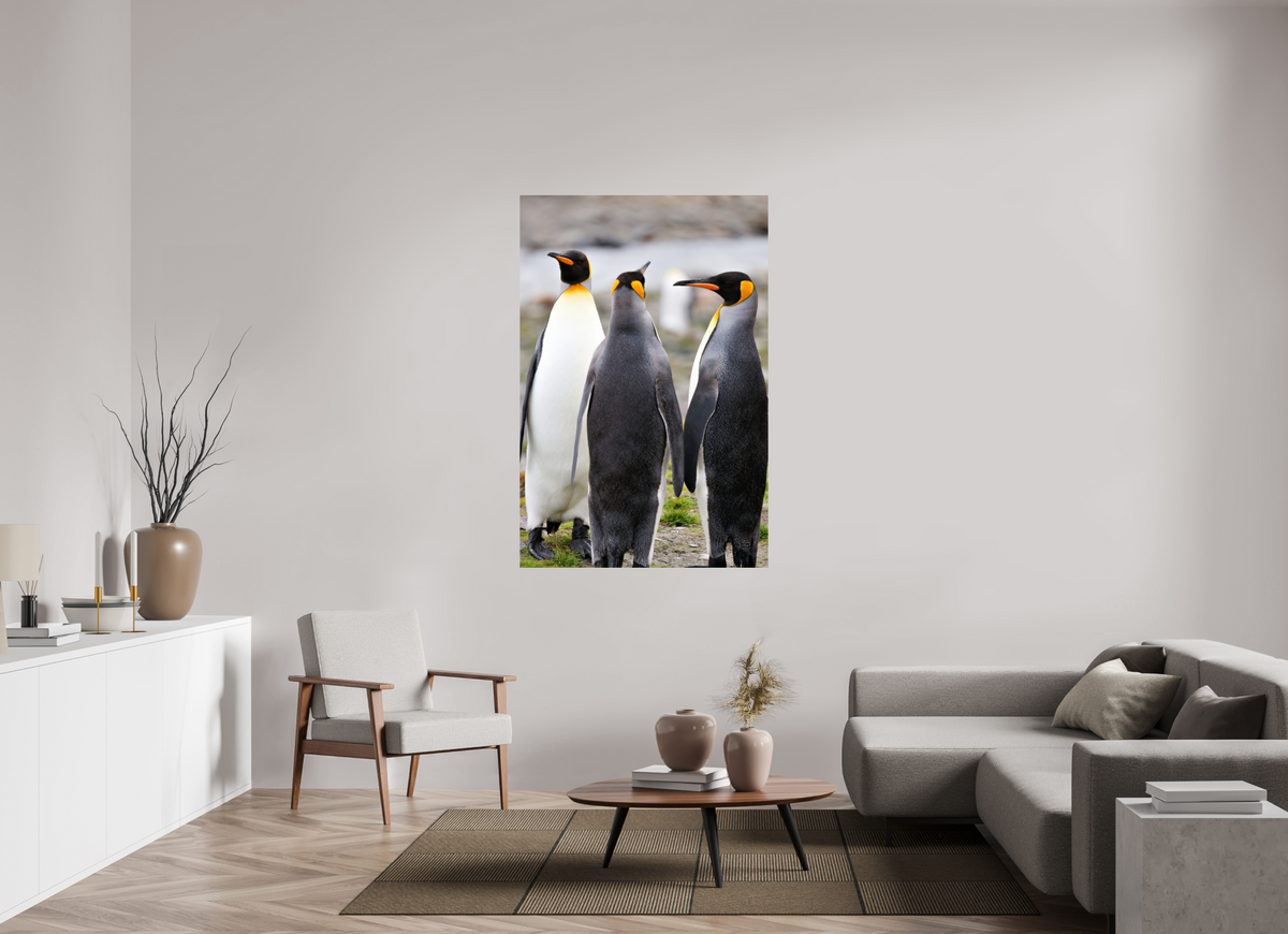 40 x 60″, Glossy Print (Unframed) A13