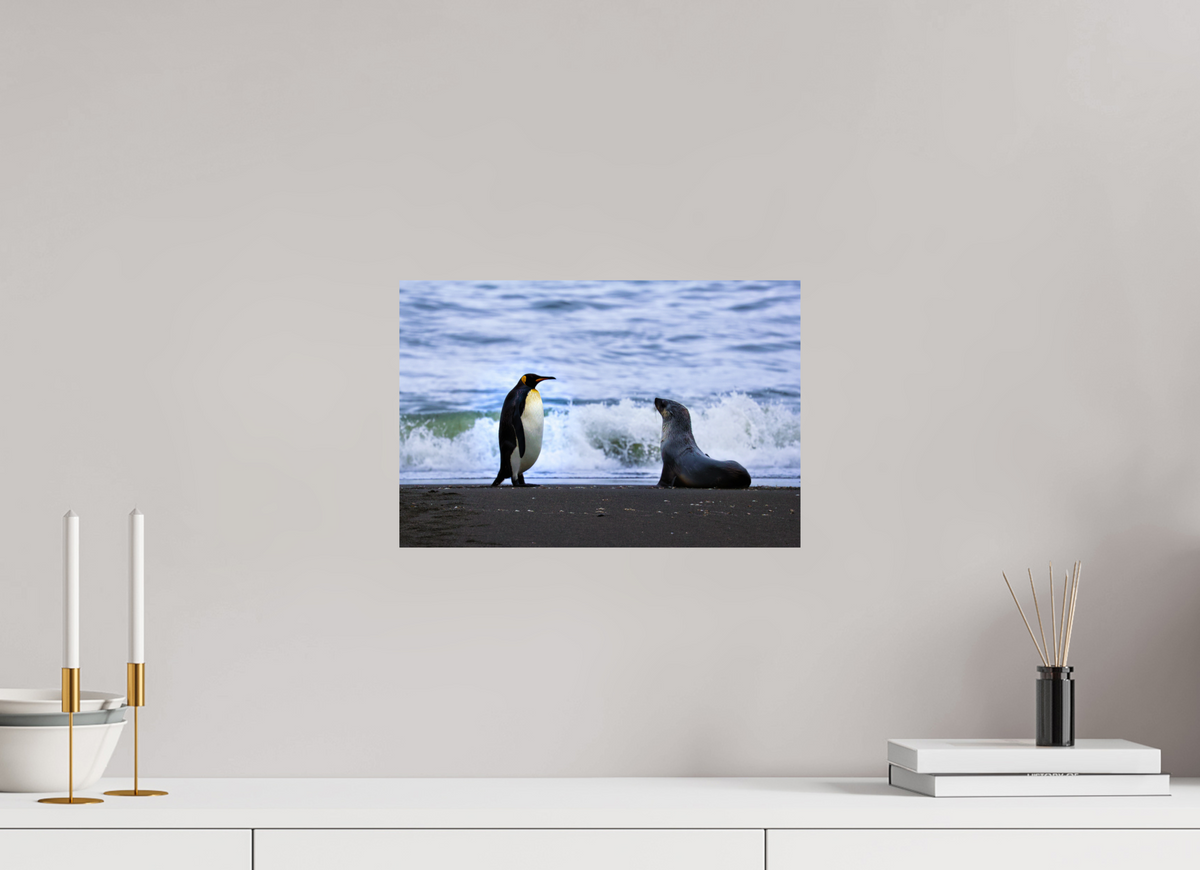 15 x 10″, Glossy Print (Unframed) A16