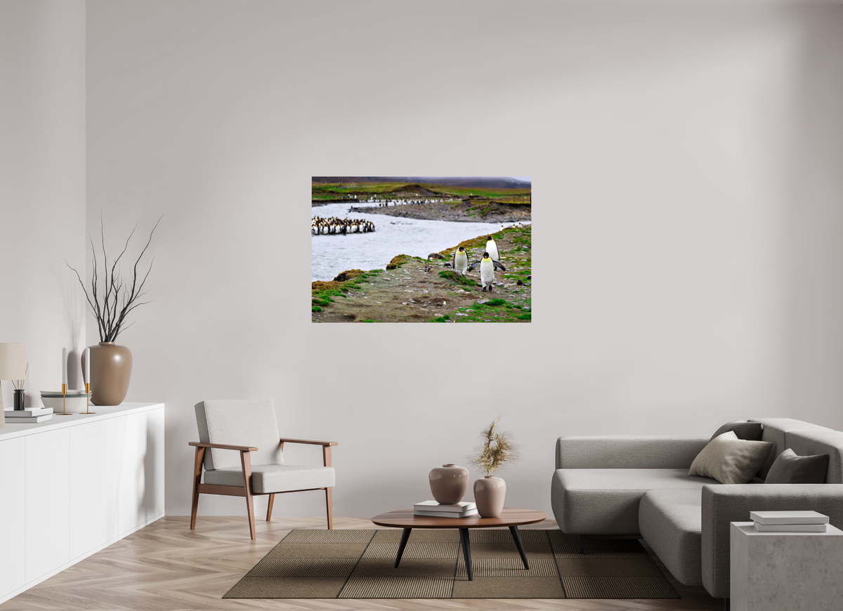 54 x 36″, Glossy Print (Unframed) A14