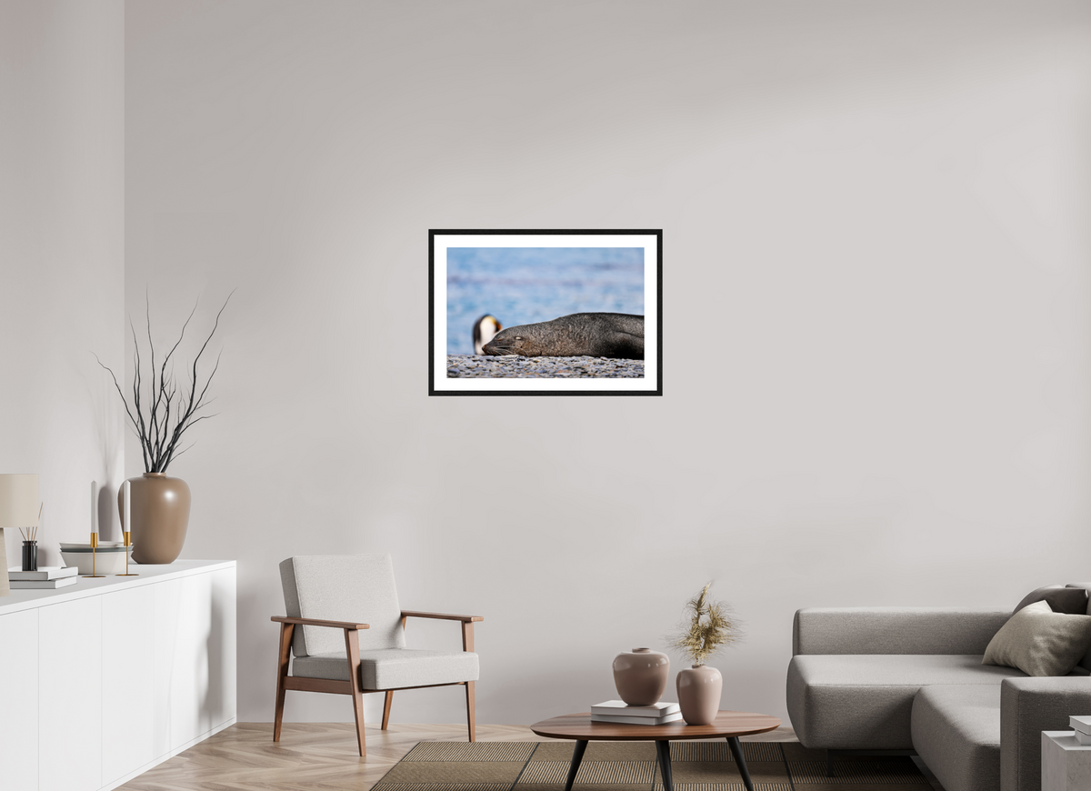 30 x 20″, Glossy Print (Framed) A17