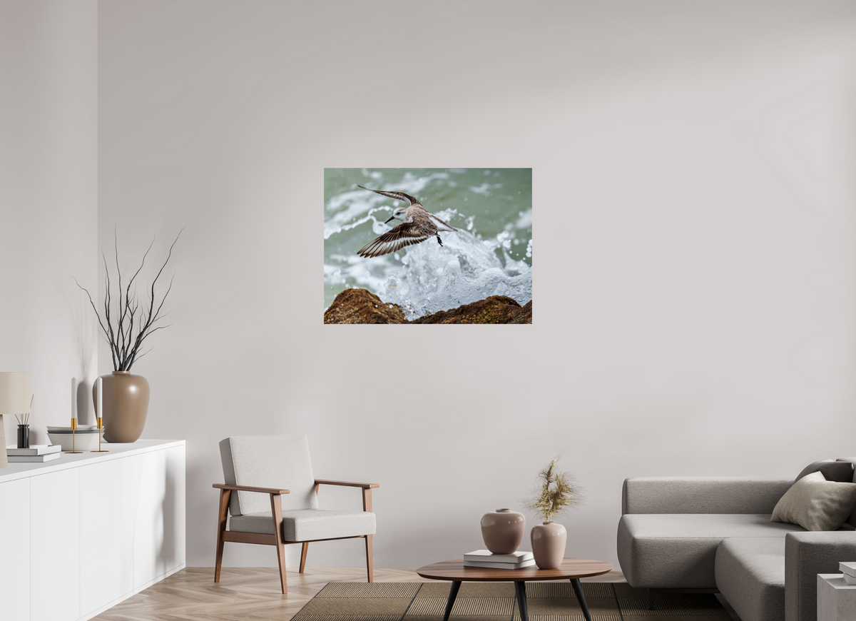 40 x 30″, Glossy Print (Unframed) A Sanderling and the Ocean