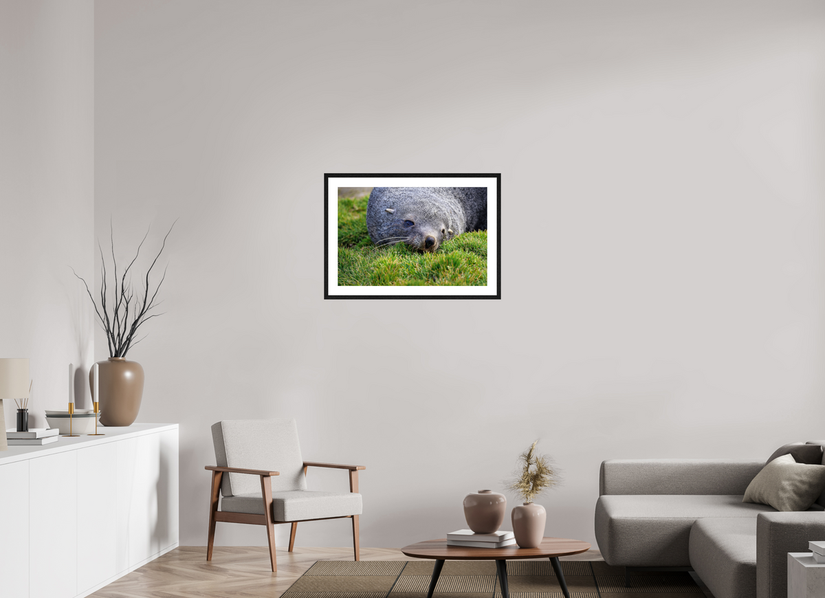 30 x 20″, Glossy Print (Framed) A22