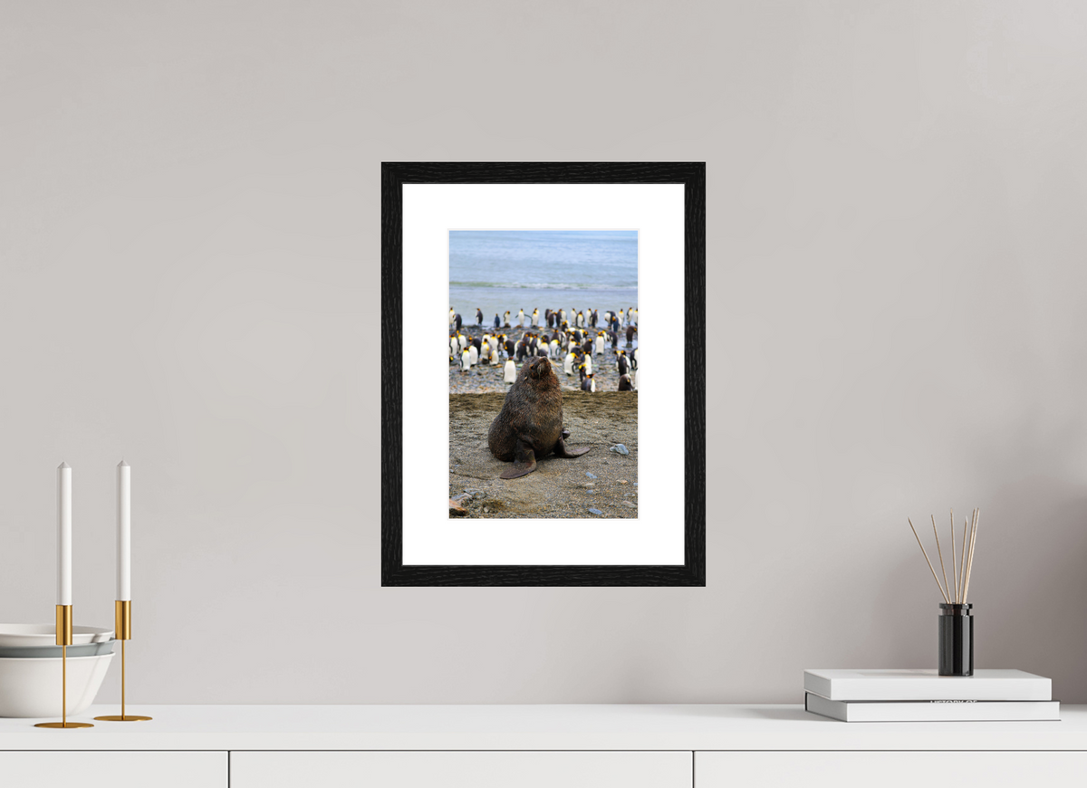 8 x 12″, Glossy Print (Framed) A11