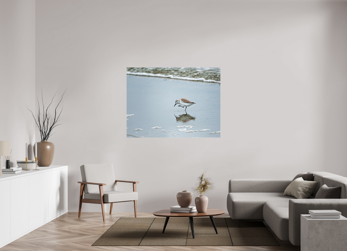 56 x 42″, Acrylic under Glass (Unframed) A Sanderling Scratch