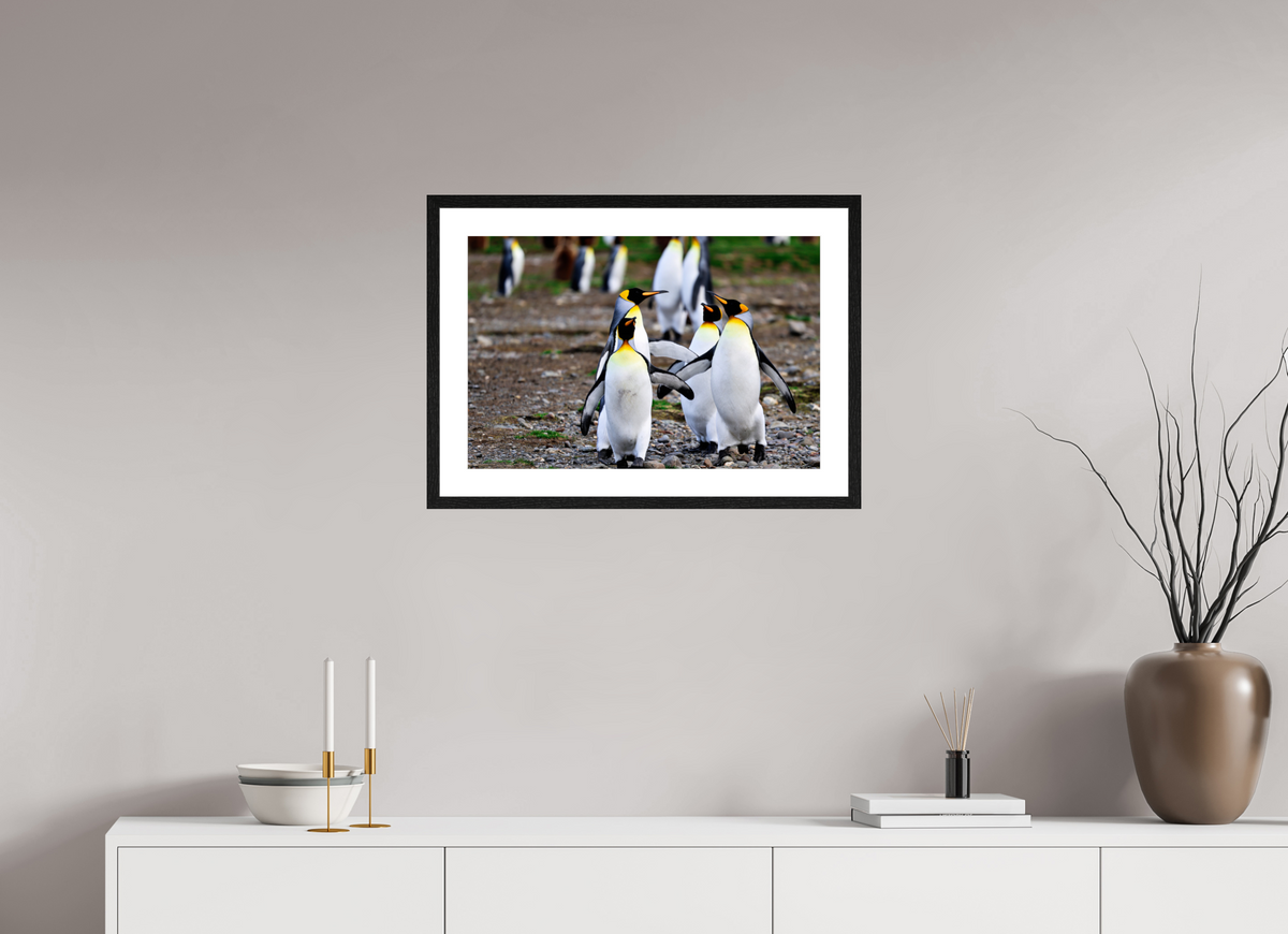24 x 16″, Glossy Print (Framed) A20
