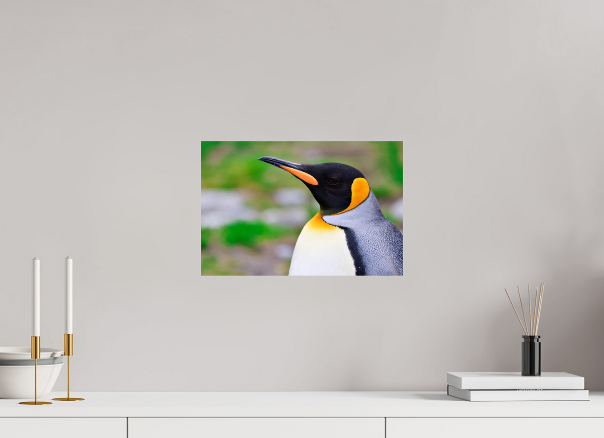15 x 10″, Glossy Print (Unframed) A12