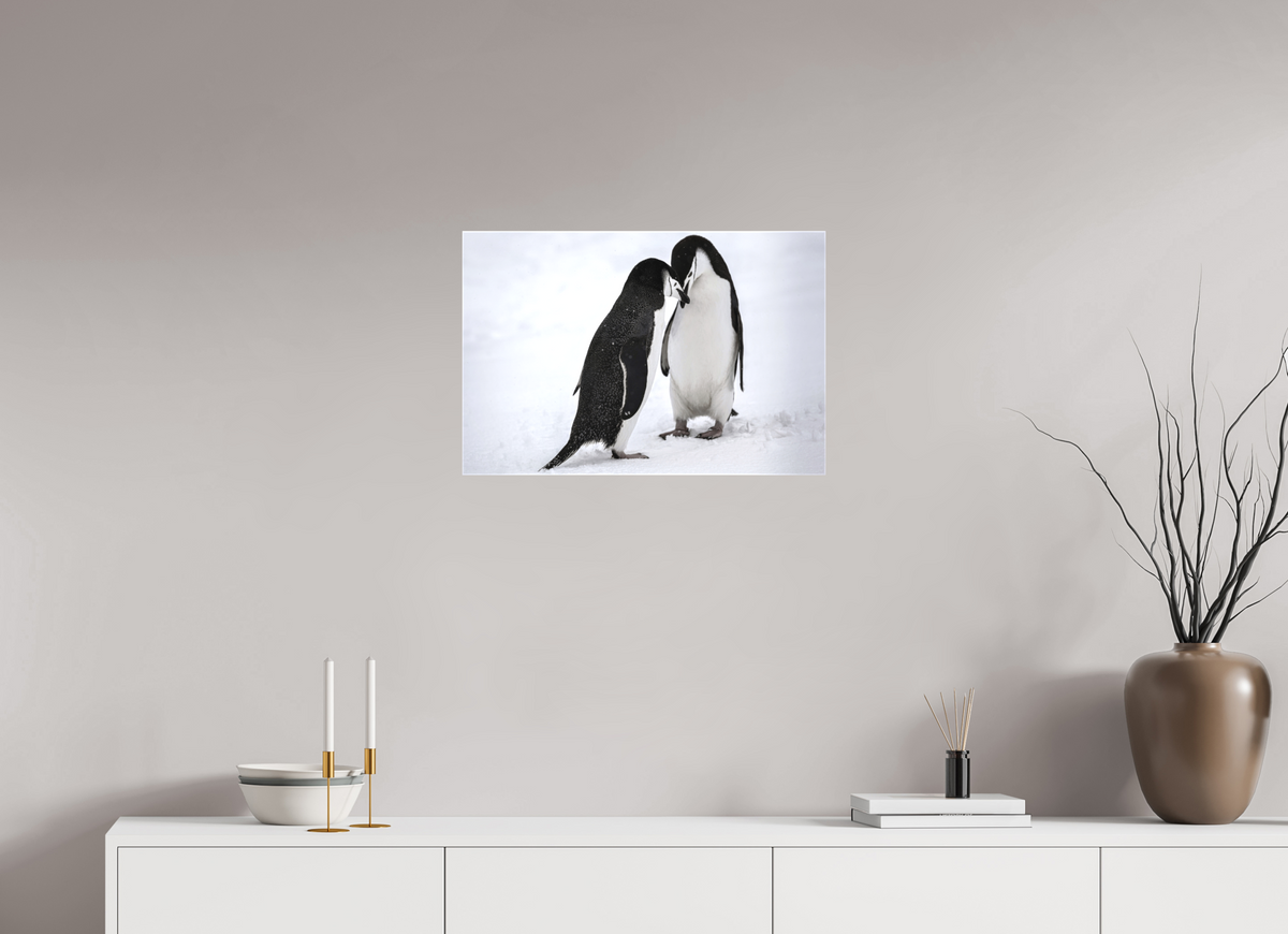 24 x 16″, Canvas Print A5