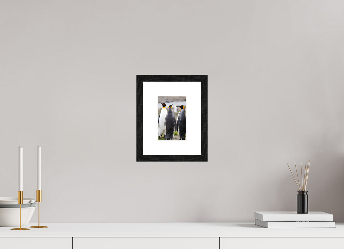 4 x 6″, Glossy Print (Framed) A13